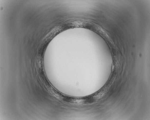 X0000058130313200510212052