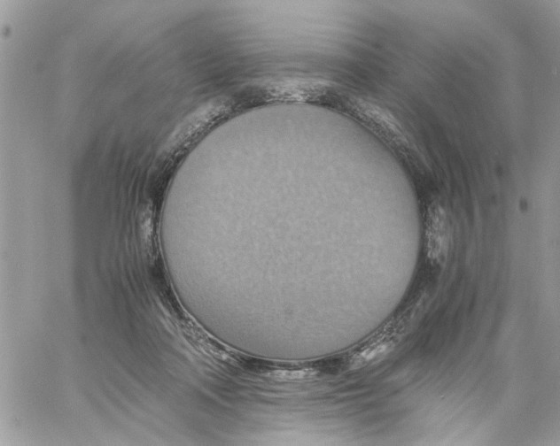 X0000058130314200510212052