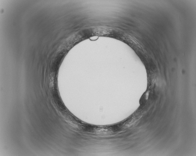 X0000058130315200510212052