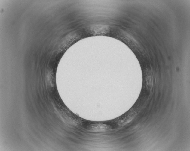 X0000058130316200510212052