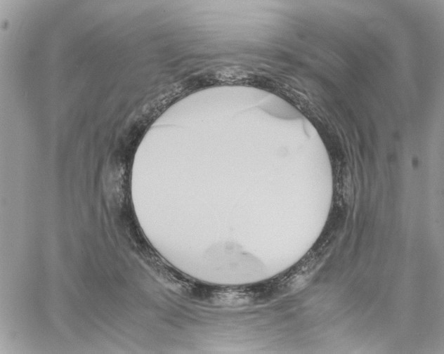 X0000058130319200510212052