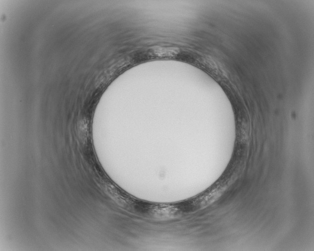 X0000058130321200510212052