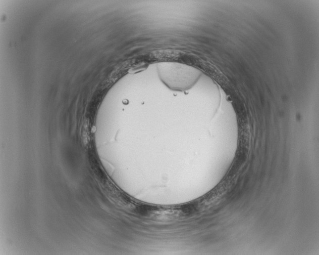 X0000058130323200510212052