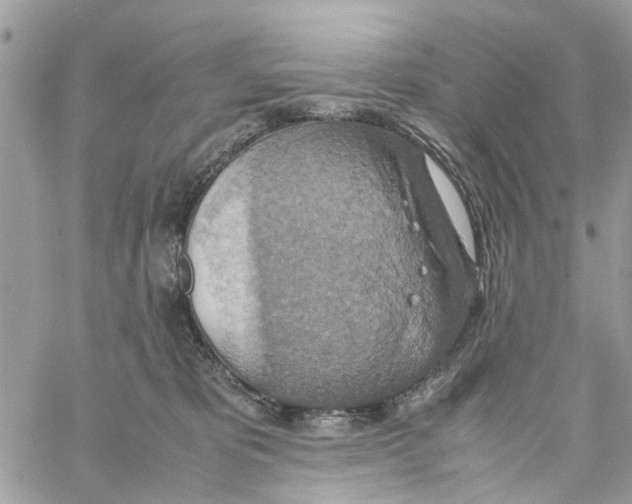 X0000058130325200510212052