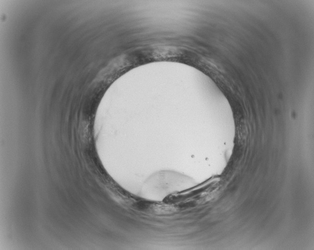 X0000058130327200510212052