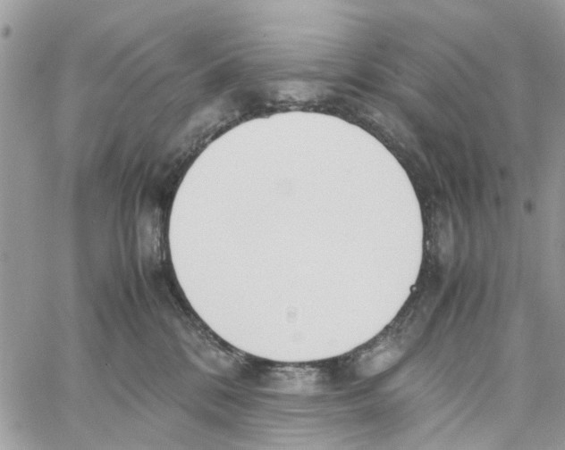 X0000058130328200510212052