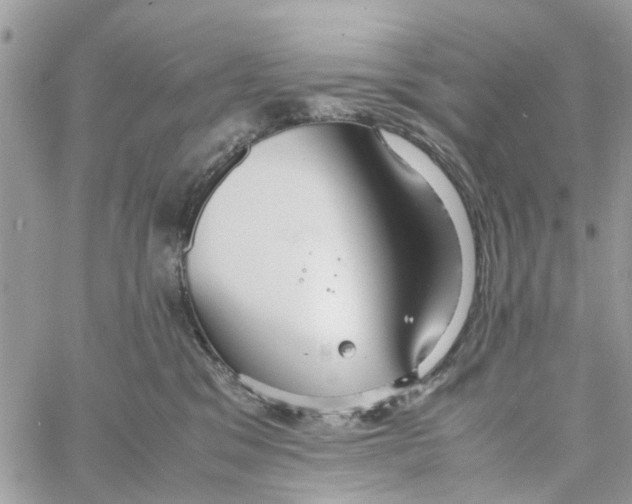 X0000058130329200510212052