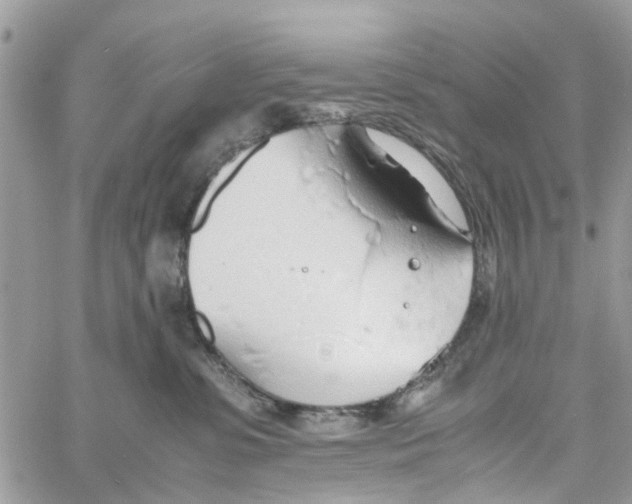 X0000058130331200510212052