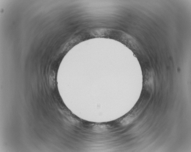 X0000058130332200510212052