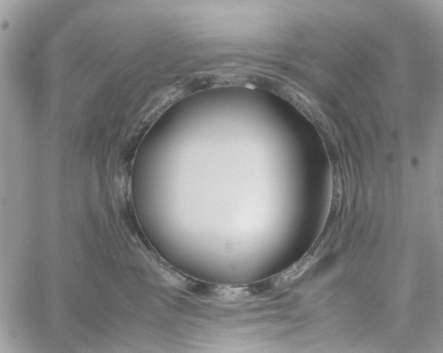 X0000058130333200510212052