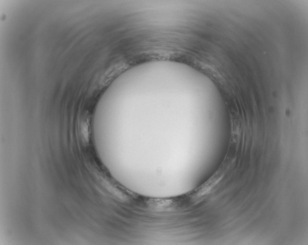 X0000058130334200510212052