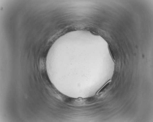 X0000058130335200510212052