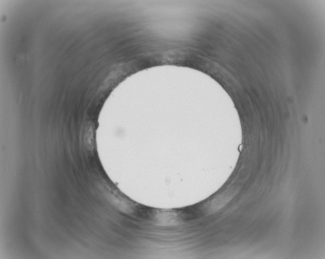 X0000058130336200510212052