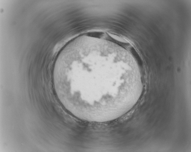 X0000058130337200510212051