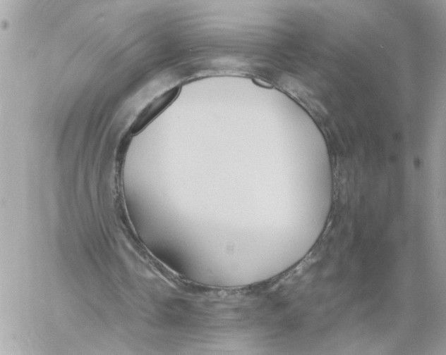 X0000058130338200510212051