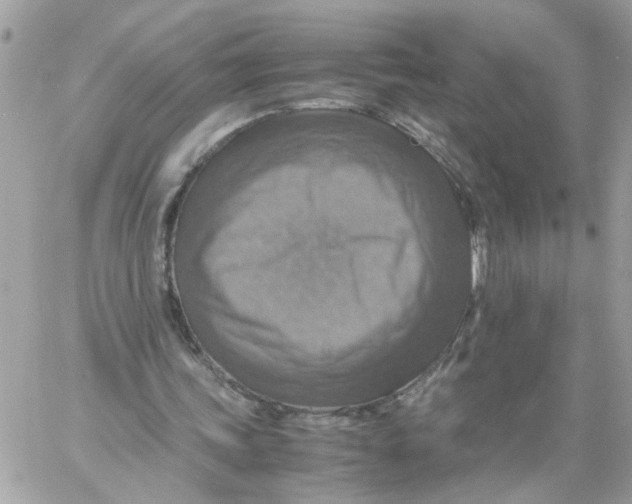 X0000058130339200510212051