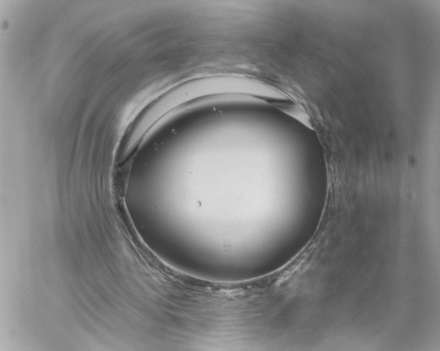 X0000058130340200510212051