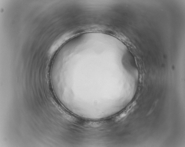 X0000058130341200510212051