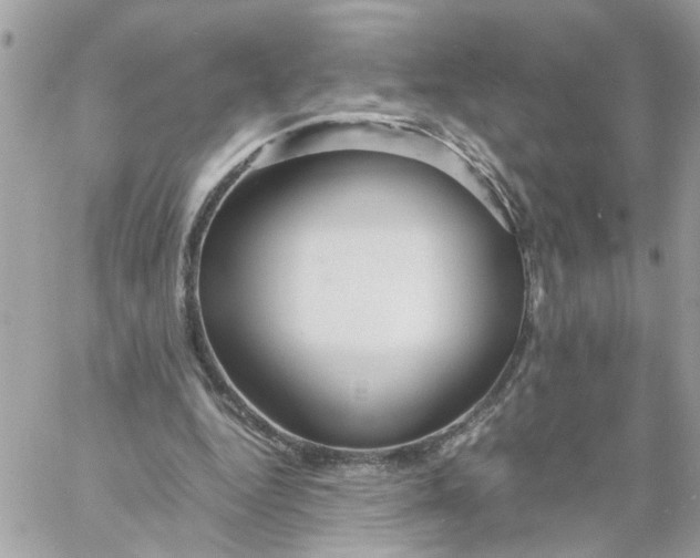 X0000058130344200510212051