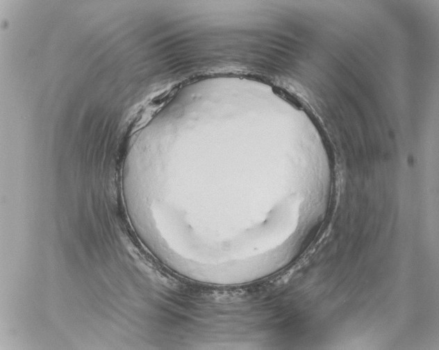 X0000058130345200510212051