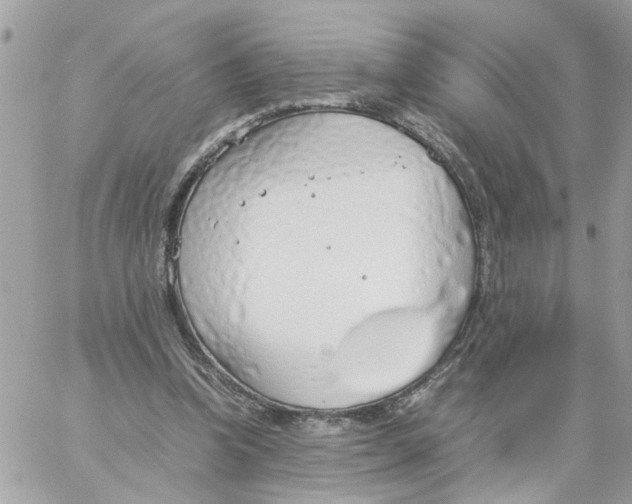 X0000058130346200510212051