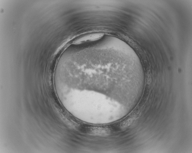 X0000058130347200510212051