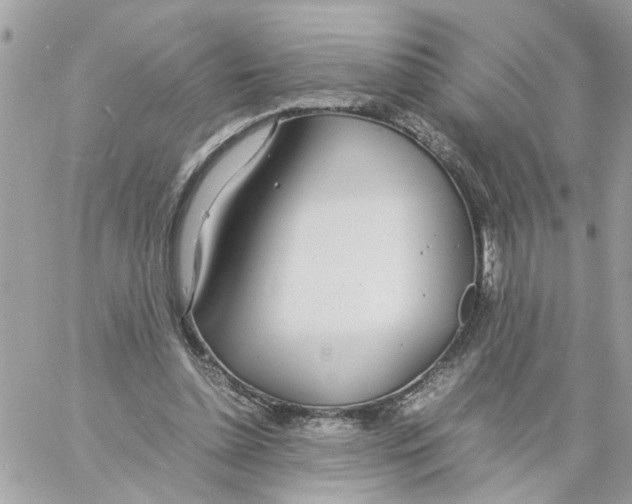 X0000058130348200510212051