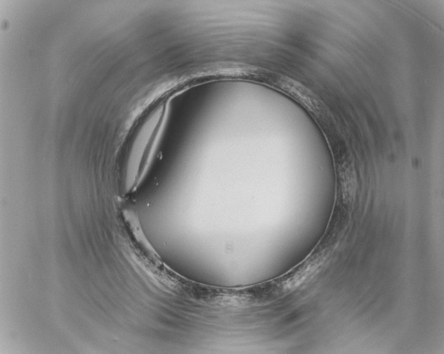 X0000058130350200510212051