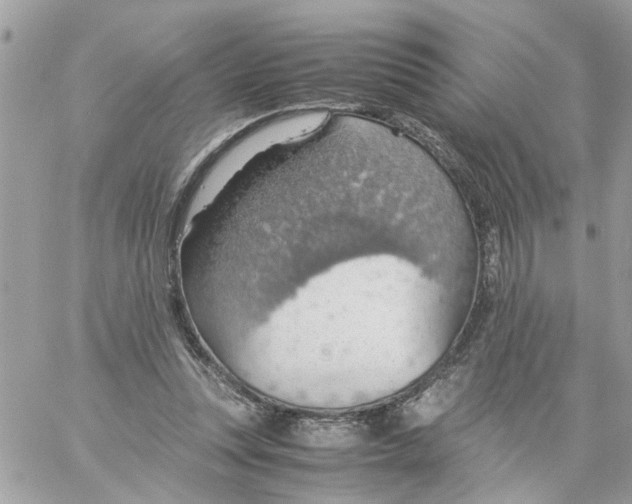 X0000058130351200510212051