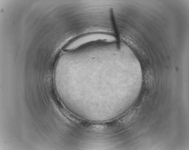 X0000058130352200510212051