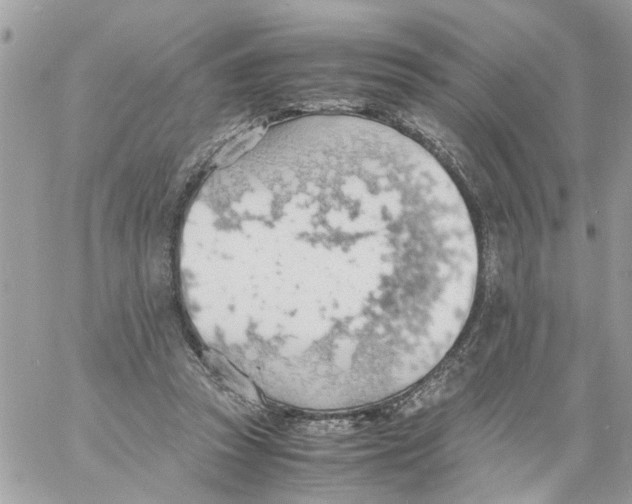 X0000058130353200510212051