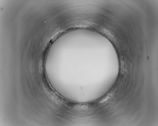 X0000058130354200510212051