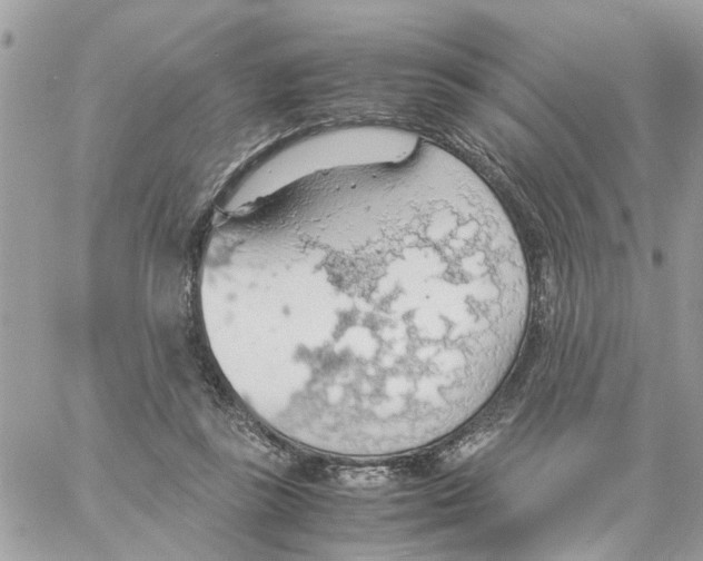 X0000058130355200510212051