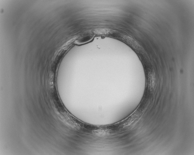 X0000058130356200510212051