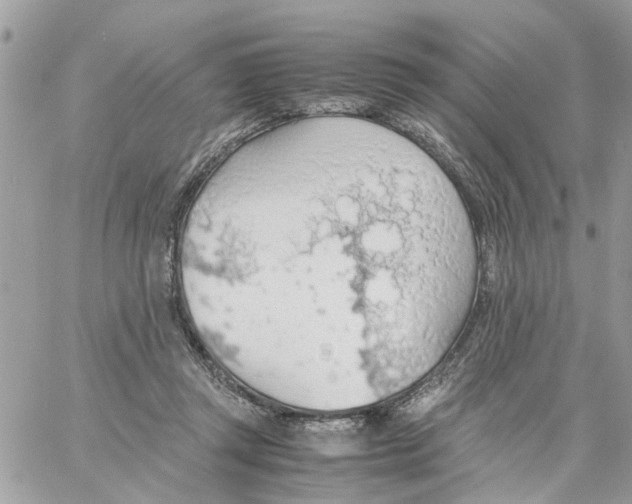 X0000058130357200510212051