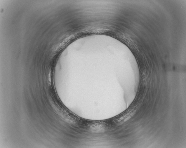 X0000058130358200510212051