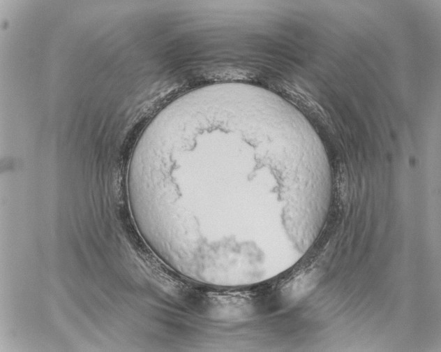 X0000058130359200510212051