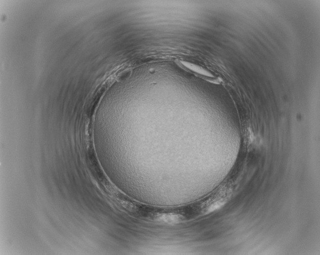 X0000058130360200510212051