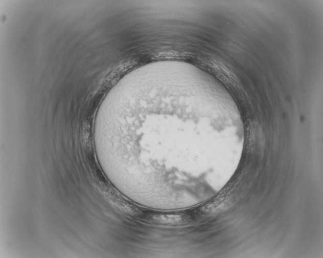 X0000058130361200510212051