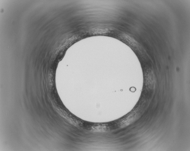 X0000058130362200510212051