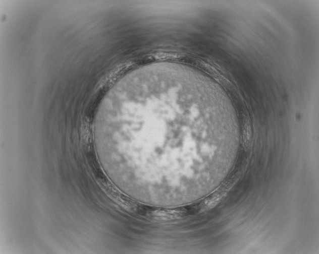 X0000058130367200510212051