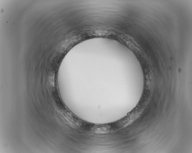 X0000058130368200510212051