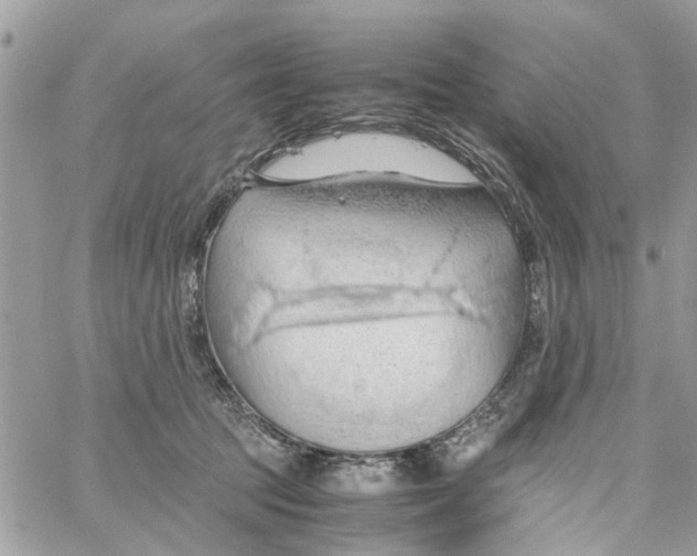 X0000058130369200510212051