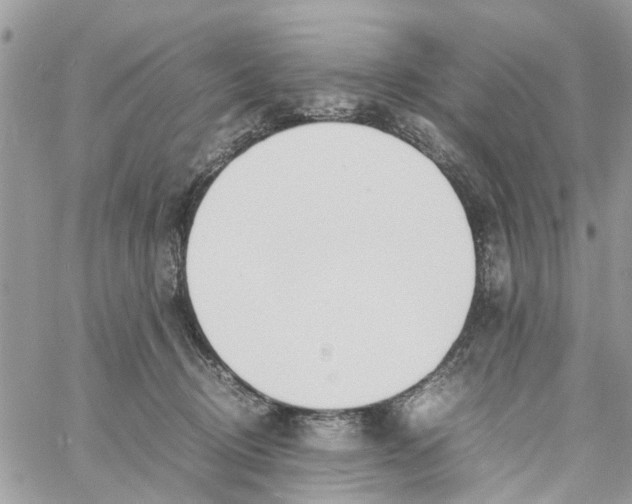 X0000058130370200510212051