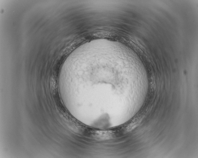 X0000058130371200510212051