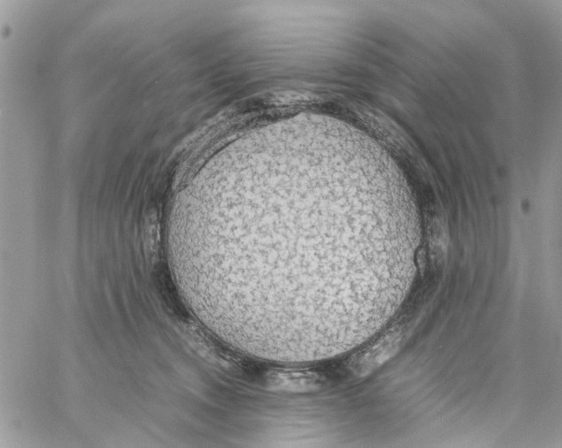 X0000058130372200510212052