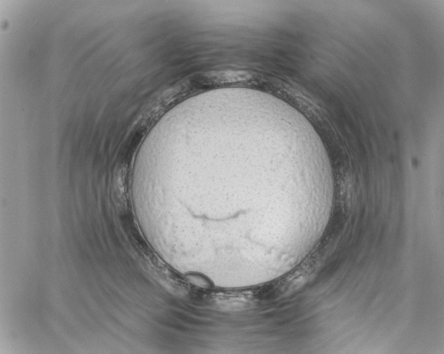 X0000058130373200510212052