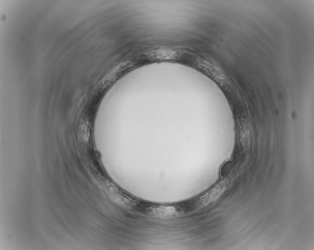 X0000058130374200510212052