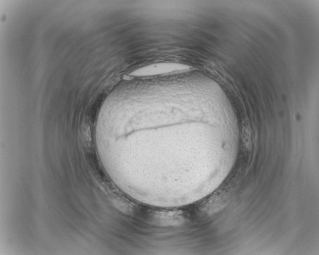 X0000058130375200510212052