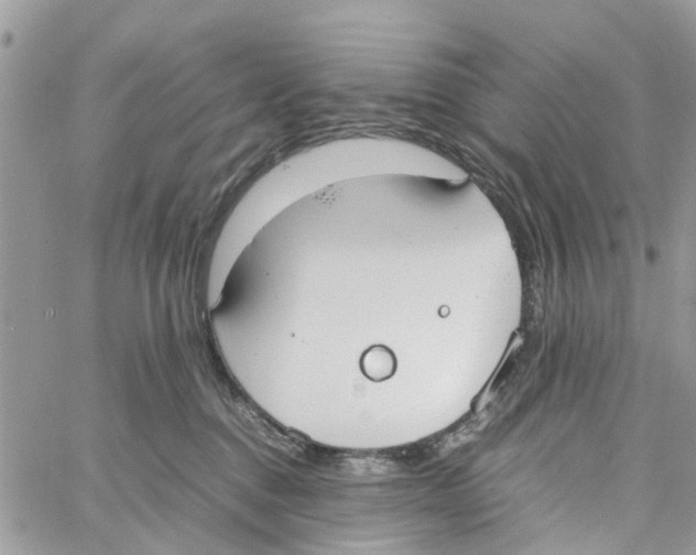 X0000058130376200510212052